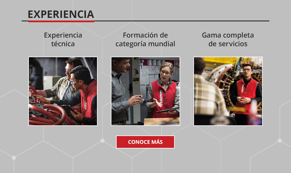 conoce mas