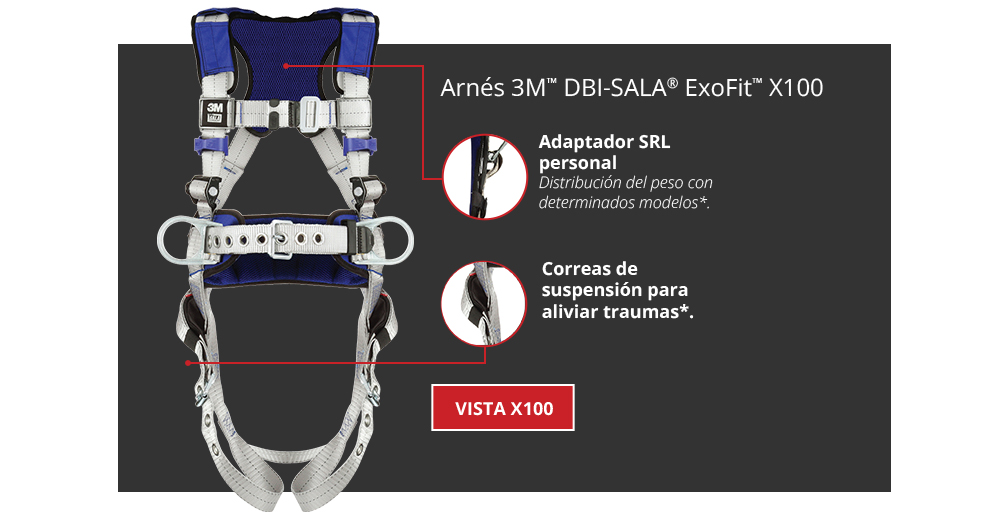 Vista X100